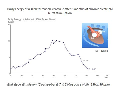 Abfallende Tagesenergie bei hochfrequenter Stimulation